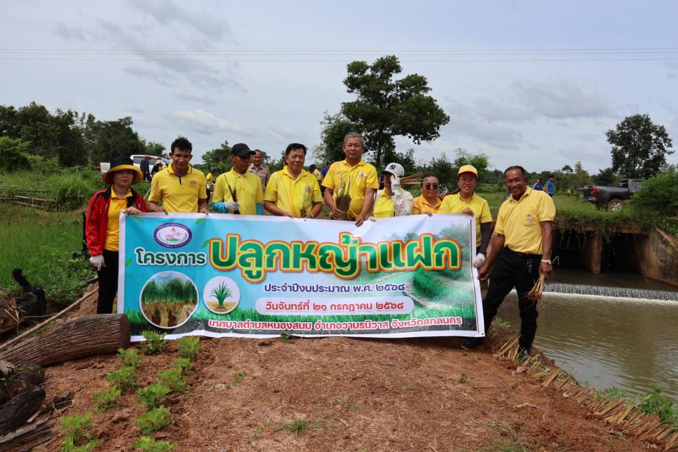 โครงการปลูกหญ้าแฝก